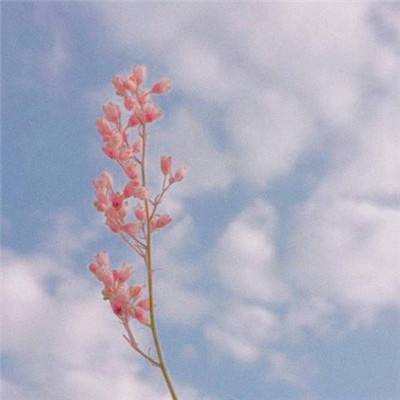 穿越深空破解版下载