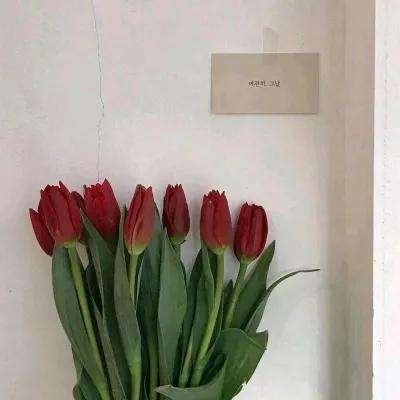 刘备磕头2内购破解版下载
